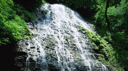 科技可靠性